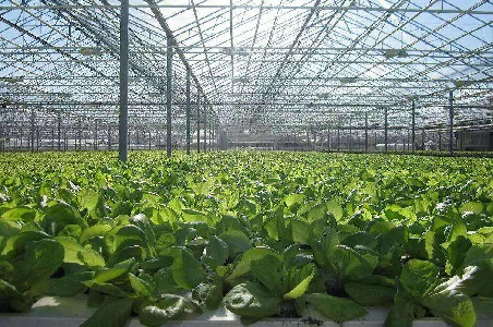 ���ܜ��Ҵ���